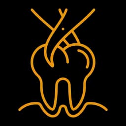 service icon